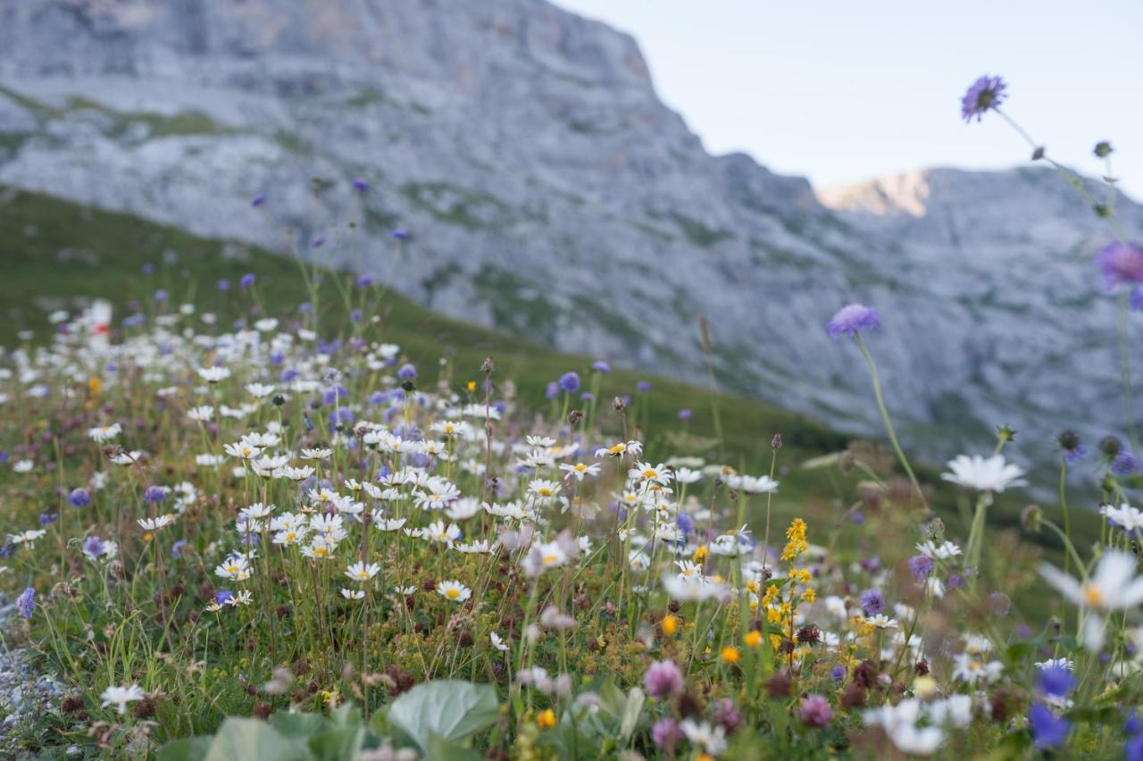 Berghaus Sulzfluh Ξενοδοχείο Sankt Antönien Εξωτερικό φωτογραφία
